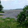 Tour 6: Naturpark Usedom